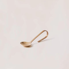 Loop Brass Condiment and Sugar Spoon