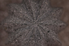 Lava Cactus Set - Atlas & Kiln