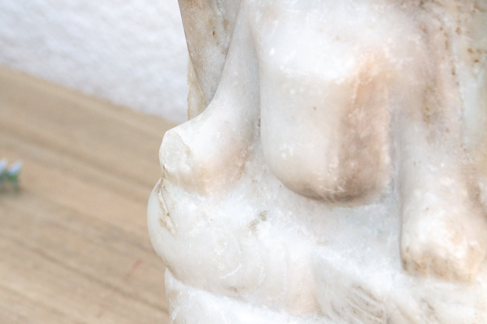 Close-up of a marble sculpture with a blurred landscape in the background
