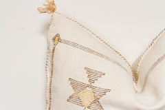 Marrakech Souks Moroccan Cactus Silk Pillow