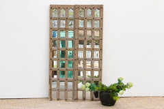 Tall Indian Colonial Door Mirror Panel