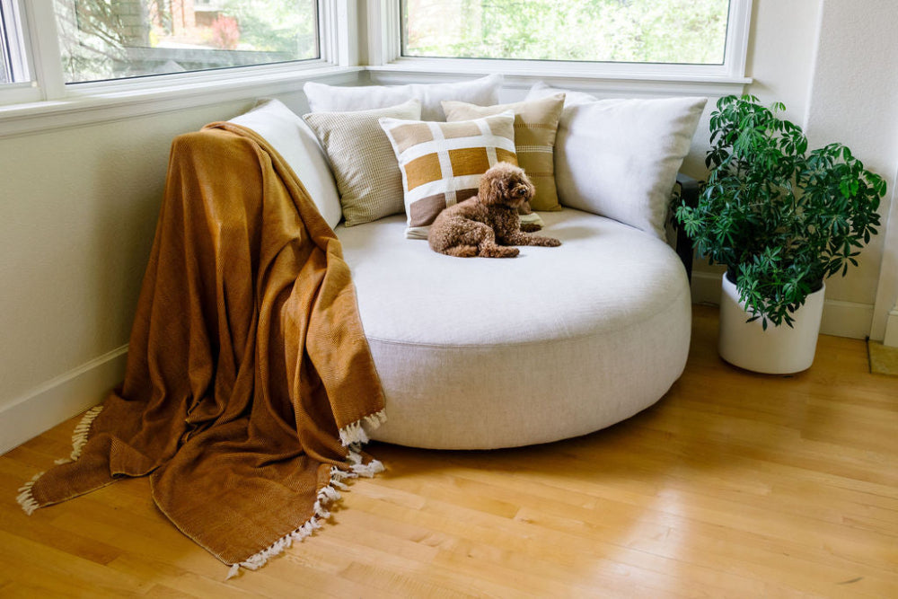 Mechot Handwoven Ethiopian Cotton Throw Blanket - Atlas & Kiln