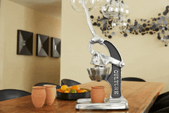 Artisan Citrus Juicer - Large