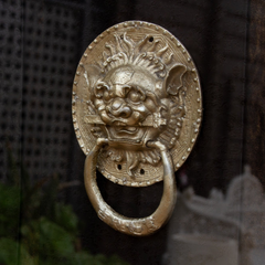 Framed Antique Lion Head Door Pulls
